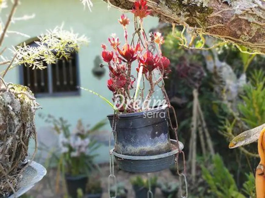 Casa com 2 quartos à venda, 1440m2 em Pessegueiros, Teresopolis - RJ - imagem 9 Foto 9 de Casa com 2 quartos à venda, 1440m2 em Pessegueiros, Teresopolis - RJ