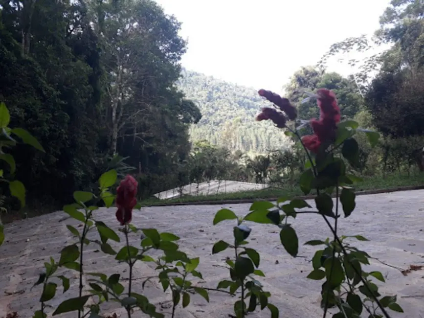 Loft / Flat com 1 quarto para alugar, 15m2 em Albuquerque, Teresopolis - RJ - imagem 4 Foto 4 de Loft / Flat com 1 quarto para alugar, 15m2 em Albuquerque, Teresopolis - RJ