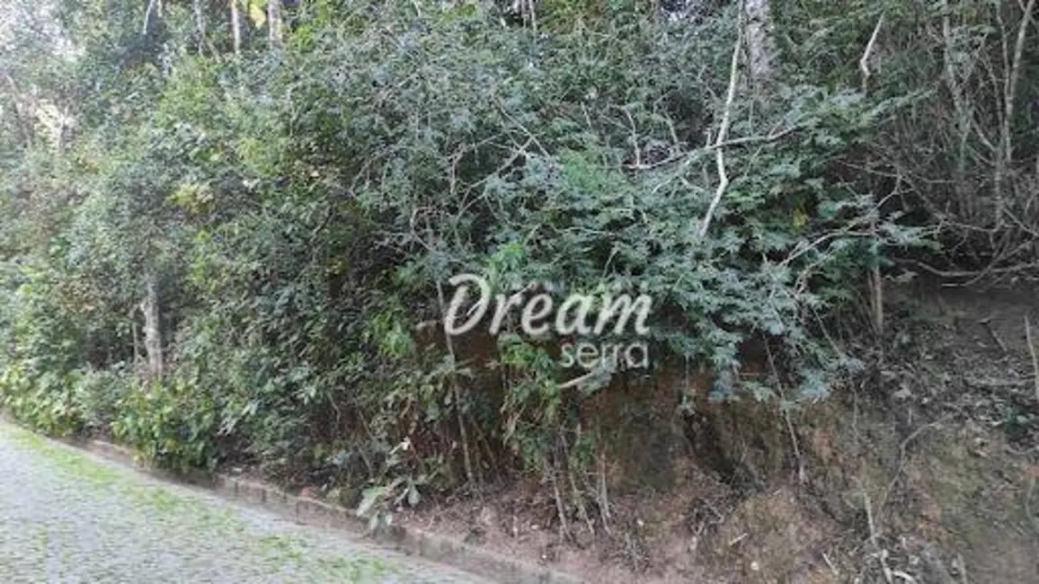 Foto 4 de Terreno / Lote à venda, 6150m2 em Vargem Grande, Teresopolis - RJ