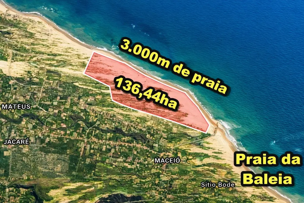 Terreno / Lote à venda, 5000m2 em Itapipoca - CE - imagem 1 Foto 1 de Terreno / Lote à venda, 5000m2 em Itapipoca - CE