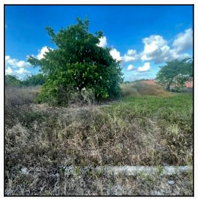 Foto 1 de Terreno / Lote à venda, 4032m2 em Horizonte - CE
