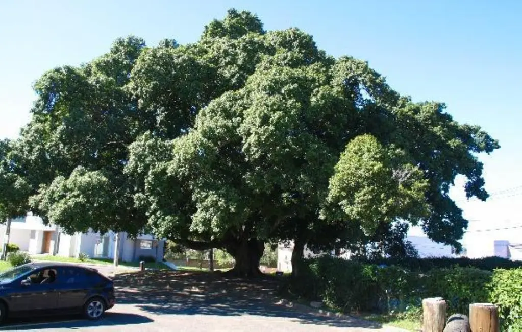 Terreno / Lote à venda, 193m2 em Aberta dos Morros, Porto Alegre - RS - imagem 8 Foto 8 de Terreno / Lote à venda, 193m2 em Aberta dos Morros, Porto Alegre - RS