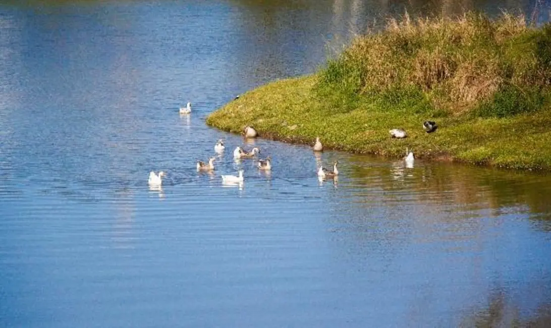 Terreno / Lote à venda, 193m2 em Aberta dos Morros, Porto Alegre - RS - imagem 7 Foto 7 de Terreno / Lote à venda, 193m2 em Aberta dos Morros, Porto Alegre - RS