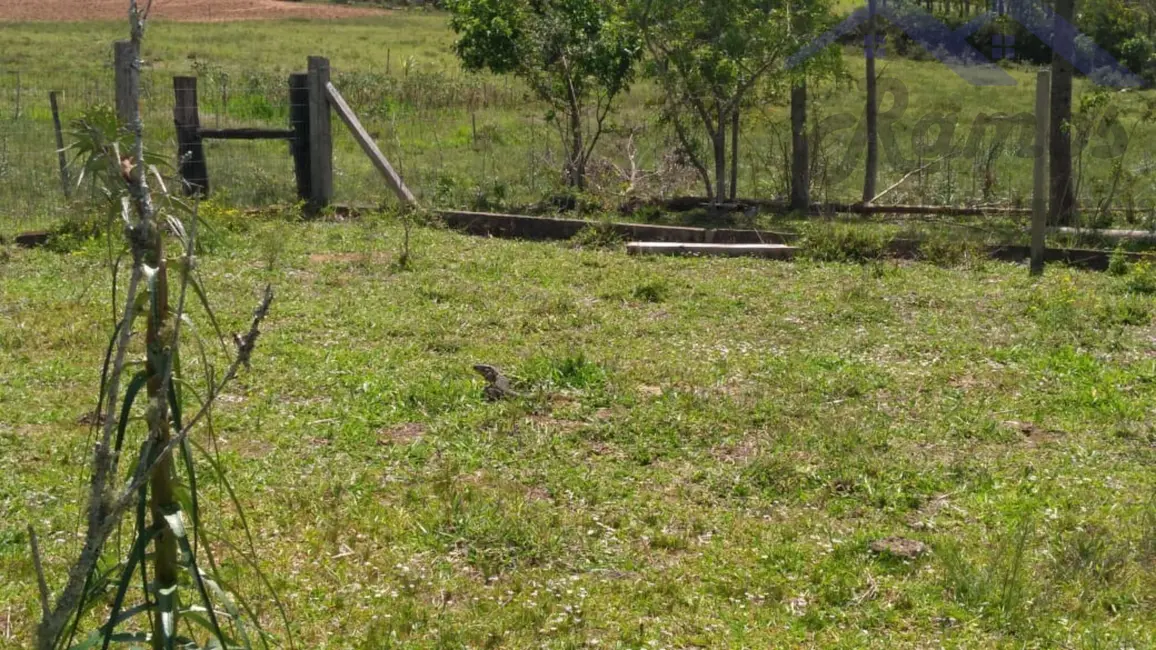 Foto 6 de Sítio / Rancho com 3 quartos à venda, 20000m2 em Porto Alegre - RS