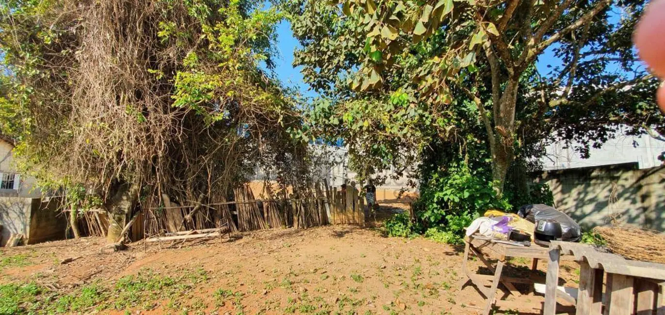 Foto 3 de Terreno / Lote à venda, 11000m2 em Jardim Paineira, Itaquaquecetuba - SP