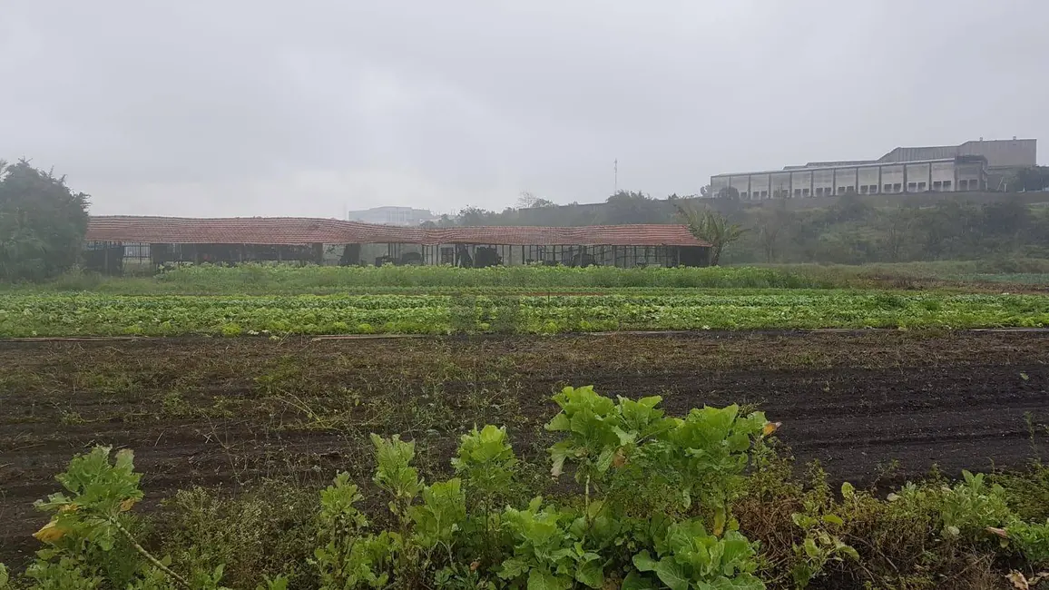 Foto 4 de Terreno / Lote à venda, 50000m2 em Jardim Luana, Itaquaquecetuba - SP