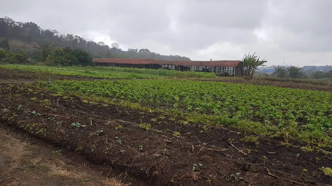 Foto 5 de Terreno / Lote à venda, 50000m2 em Jardim Luana, Itaquaquecetuba - SP