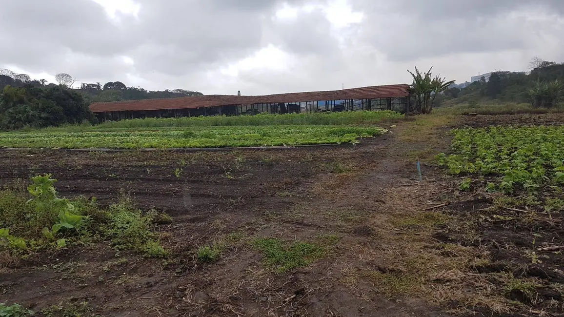 Foto 9 de Terreno / Lote à venda, 50000m2 em Jardim Luana, Itaquaquecetuba - SP