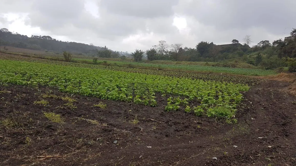Foto 7 de Terreno / Lote à venda, 50000m2 em Jardim Luana, Itaquaquecetuba - SP