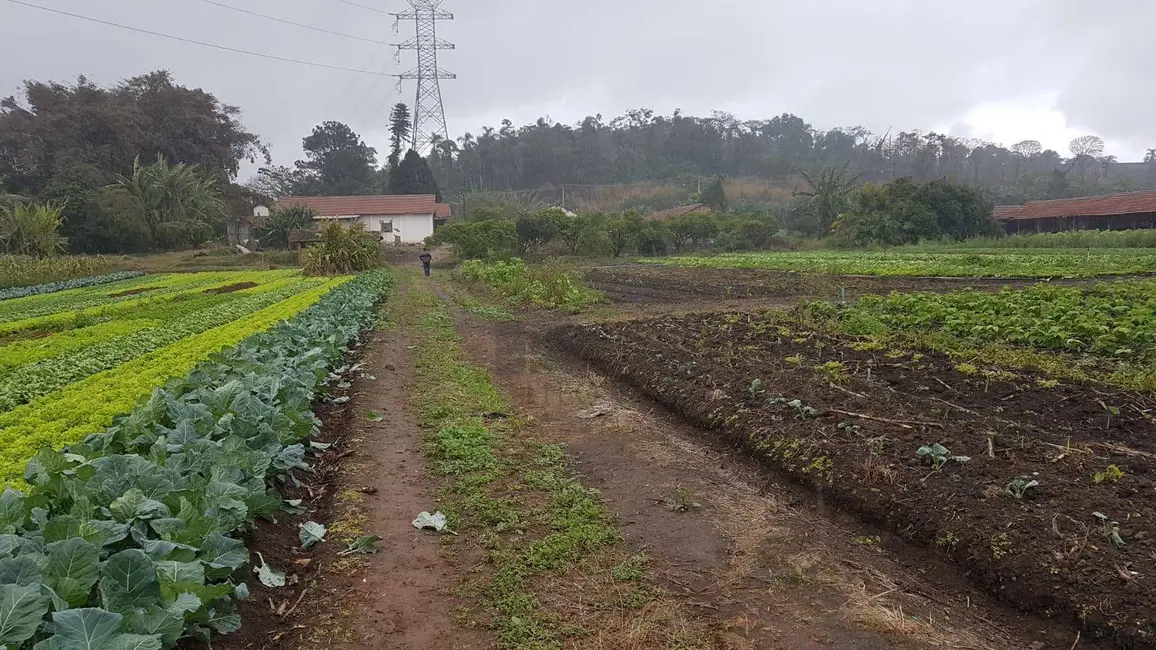 Foto 3 de Terreno / Lote à venda, 50000m2 em Jardim Luana, Itaquaquecetuba - SP