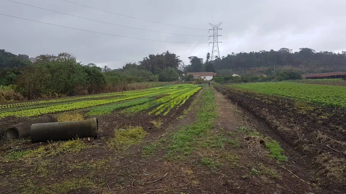 Foto 1 de Terreno / Lote à venda, 50000m2 em Jardim Luana, Itaquaquecetuba - SP