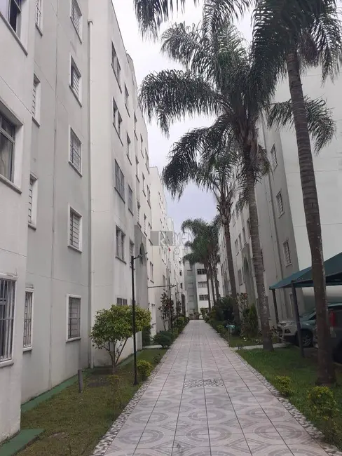 Foto 7 de Apartamento com 2 quartos à venda em Jardim Casa Pintada, São Paulo - SP