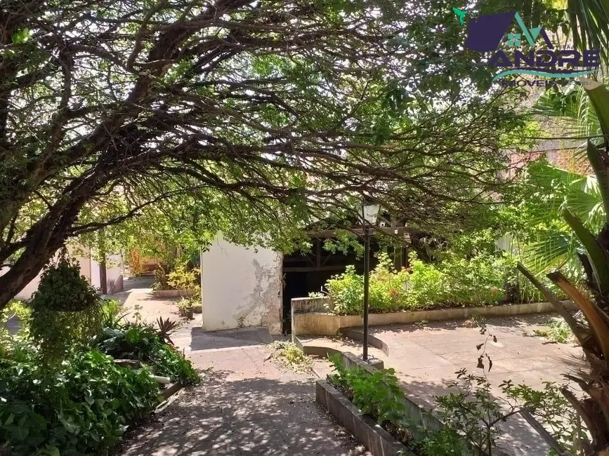 Foto 11 de Casa com 4 quartos à venda, 779m2 em Centro, Piraju - SP