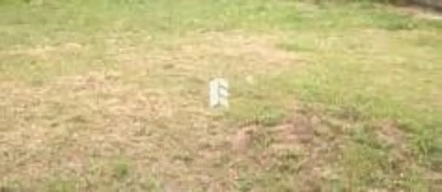 Foto 1 de Terreno / Lote à venda, 455m2 em Tomazetti, Santa Maria - RS