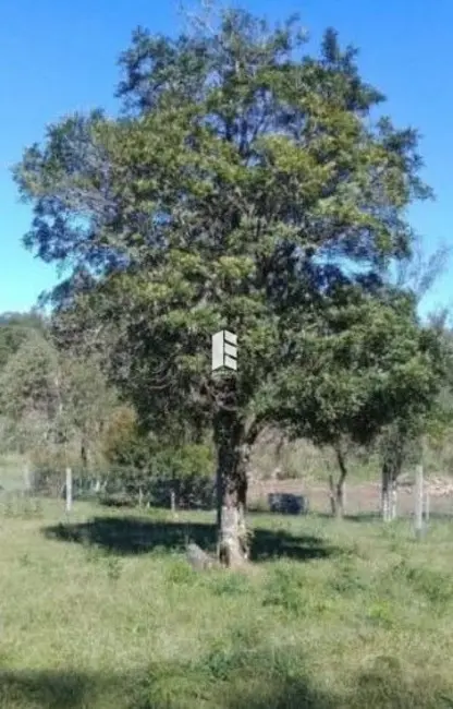Foto 2 de Terreno / Lote à venda, 1000m2 em Itaara - RS