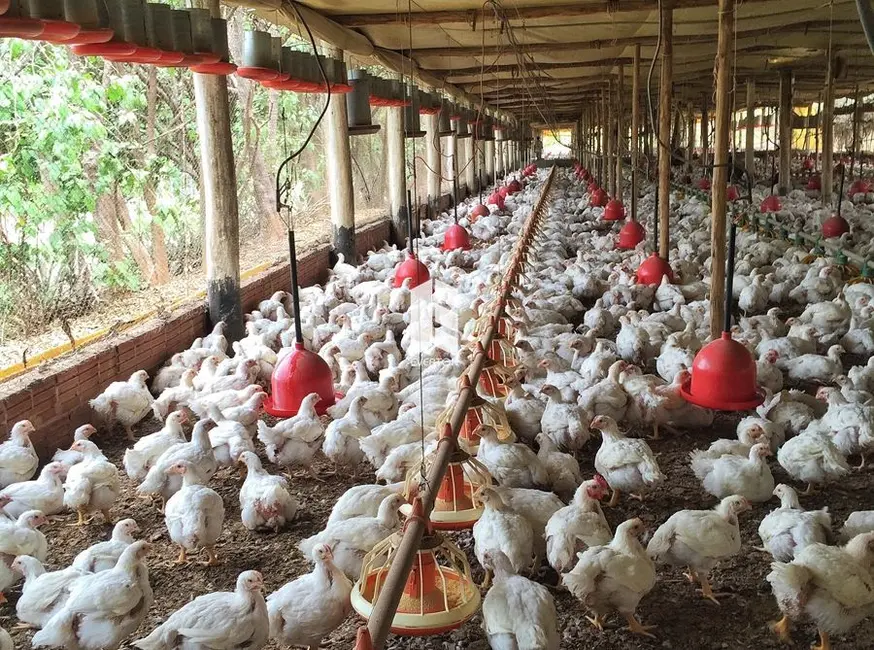 Foto 2 de Chácara com 3 quartos à venda, 90000m2 em Km 3, Santa Maria - RS