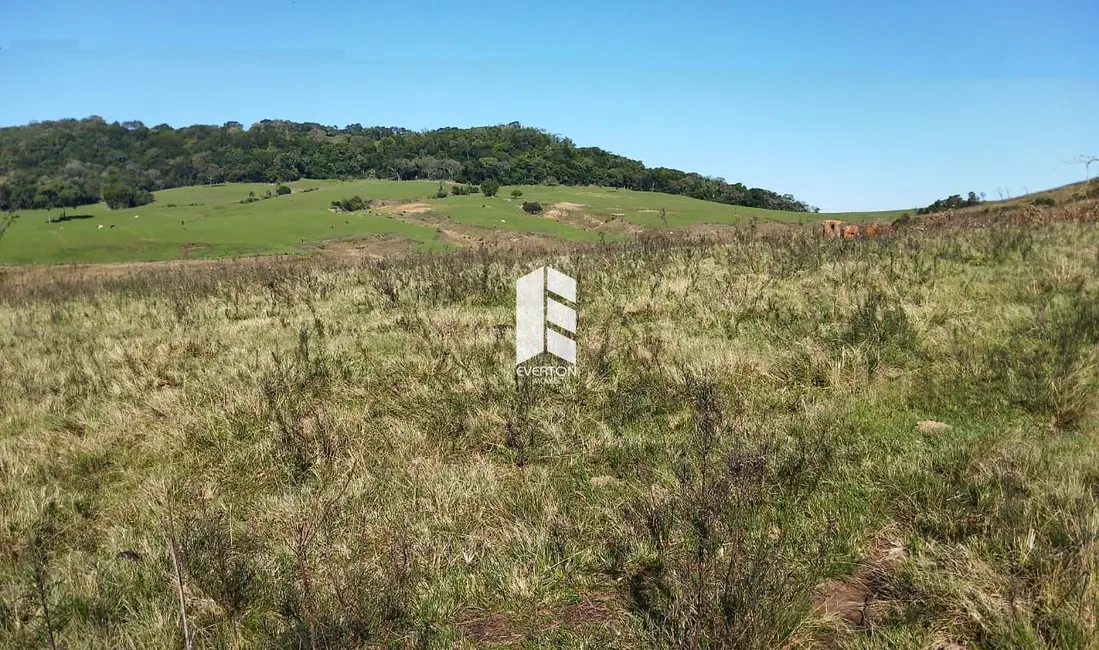 Foto 1 de Terreno / Lote à venda, 285000m2 em Santa Maria - RS