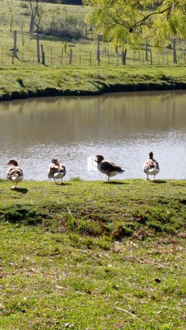 Foto 2 de Chácara com 1 quarto à venda, 26300m2 em Itaara - RS