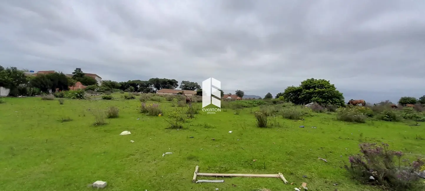 Foto 1 de Terreno / Lote à venda, 21376m2 em Pinheiro Machado, Santa Maria - RS