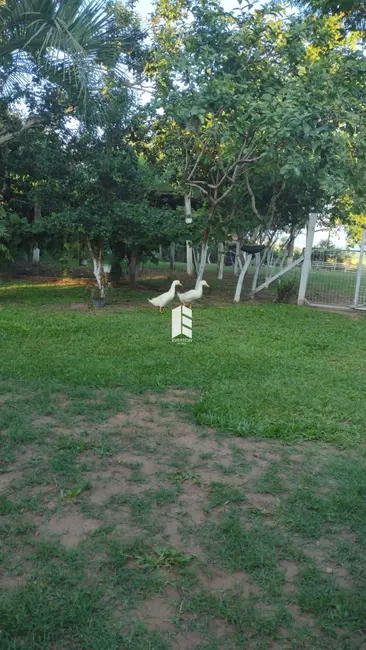 Foto 1 de Chácara com 2 quartos à venda, 3000m2 em Santa Maria - RS
