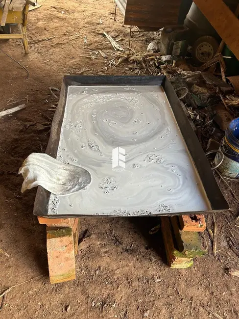 Chácara com 6 quartos à venda, 810000m2 em Faxinal Do Soturno - RS - imagem 9 Foto 9 de Chácara com 6 quartos à venda, 810000m2 em Faxinal Do Soturno - RS