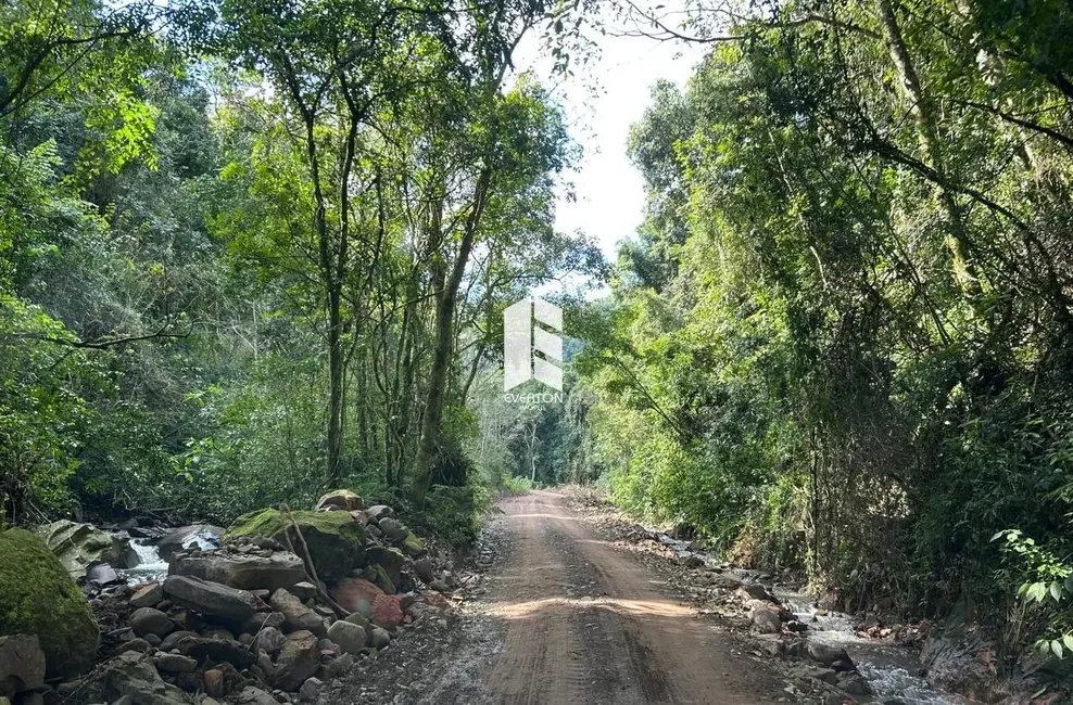 Chácara com 6 quartos à venda, 810000m2 em Faxinal Do Soturno - RS - imagem 6 Foto 6 de Chácara com 6 quartos à venda, 810000m2 em Faxinal Do Soturno - RS