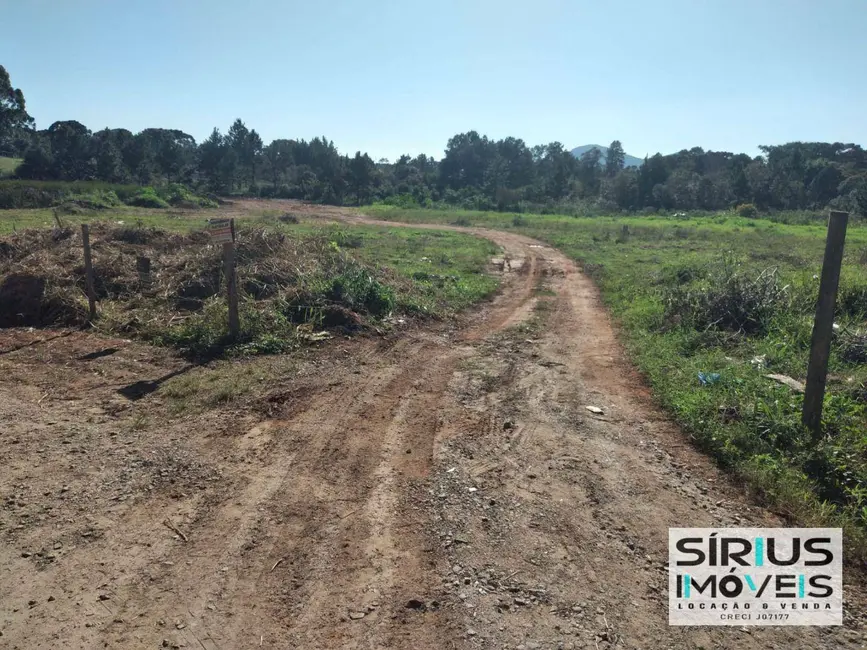 Terreno / Lote à venda, 443m2 em Centro, Piraquara - PR - imagem 3 Foto 3 de Terreno / Lote à venda, 443m2 em Centro, Piraquara - PR