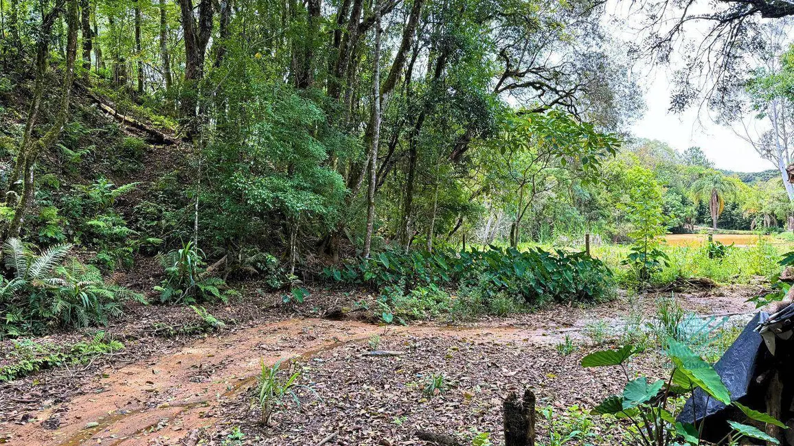 Foto 40 de Chácara à venda, 1849m2 em Quitandinha - PR