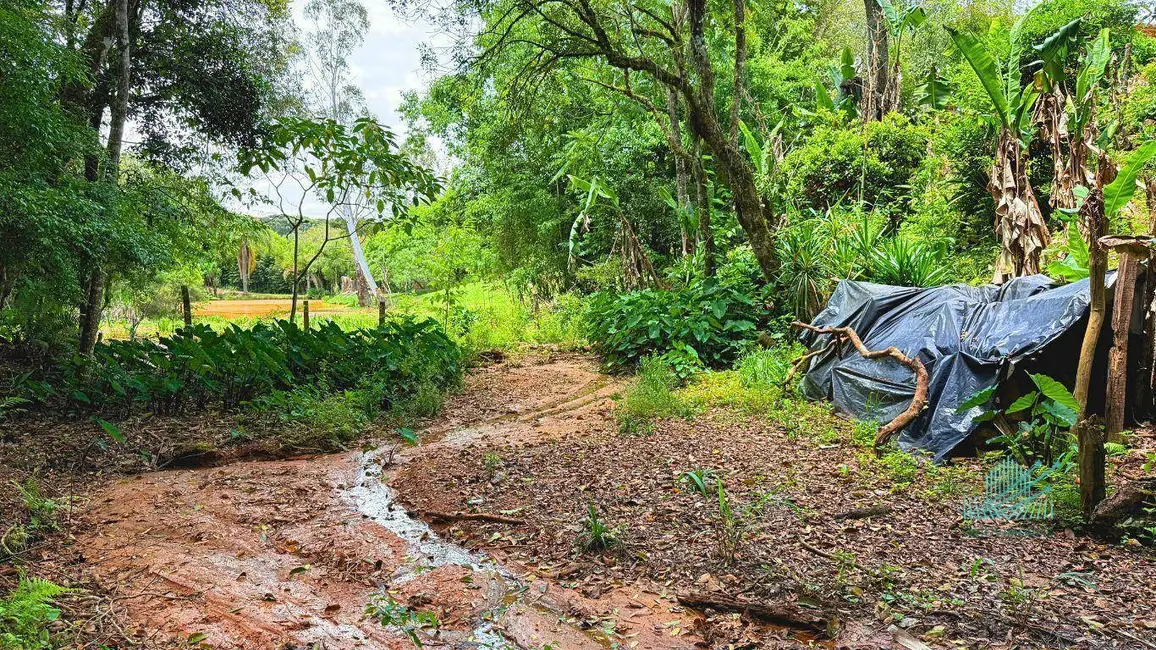 Foto 43 de Chácara à venda, 1849m2 em Quitandinha - PR