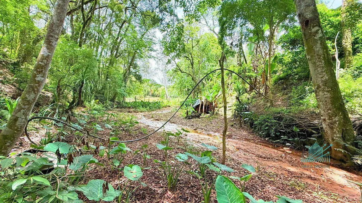 Foto 42 de Chácara à venda, 1849m2 em Quitandinha - PR