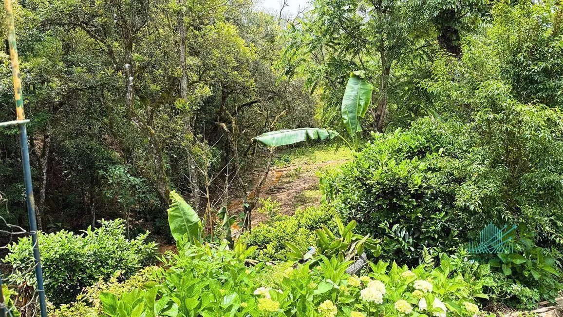 Foto 36 de Chácara à venda, 1849m2 em Quitandinha - PR