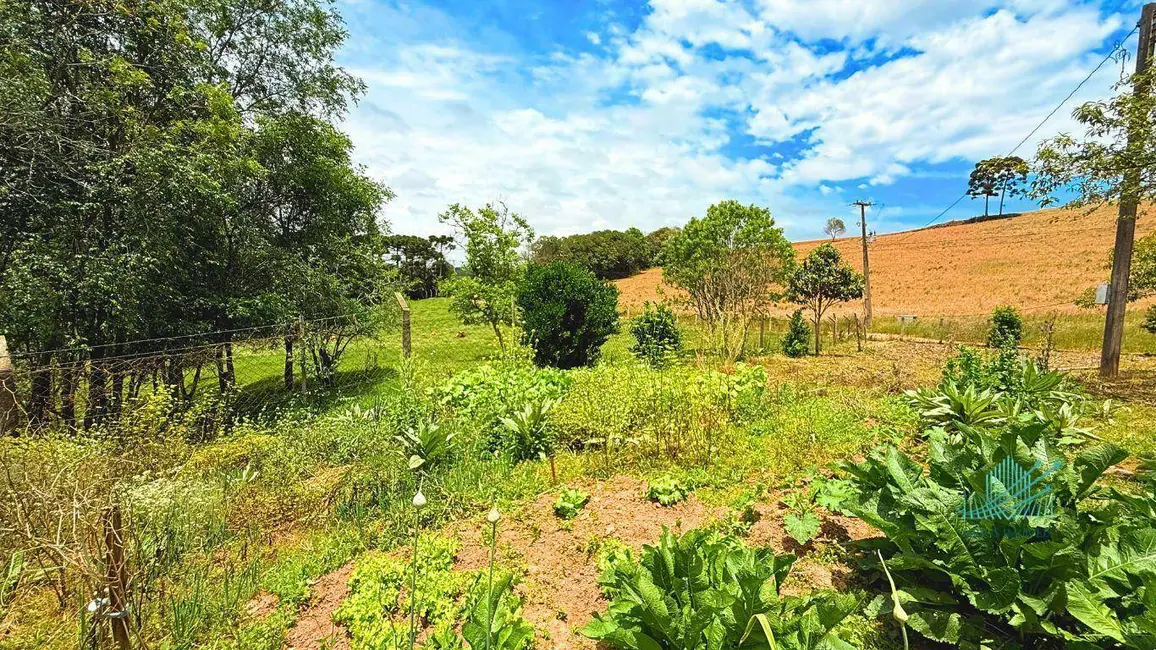 Foto 32 de Chácara à venda, 1849m2 em Quitandinha - PR