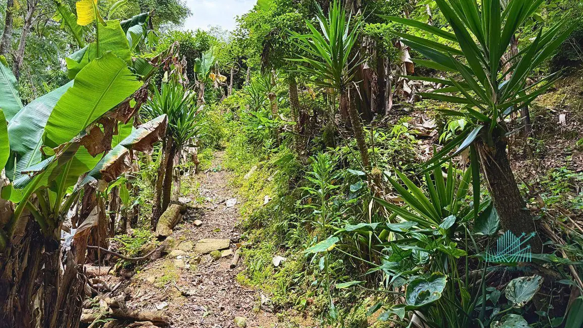 Foto 39 de Chácara à venda, 1849m2 em Quitandinha - PR