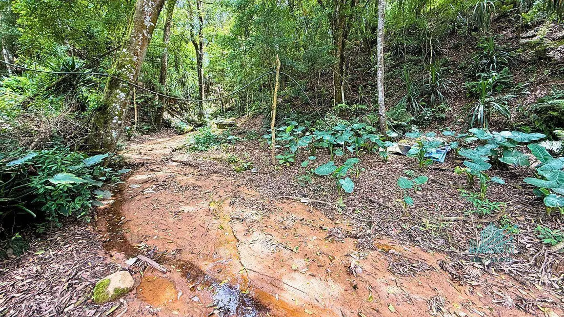 Foto 41 de Chácara à venda, 1849m2 em Quitandinha - PR