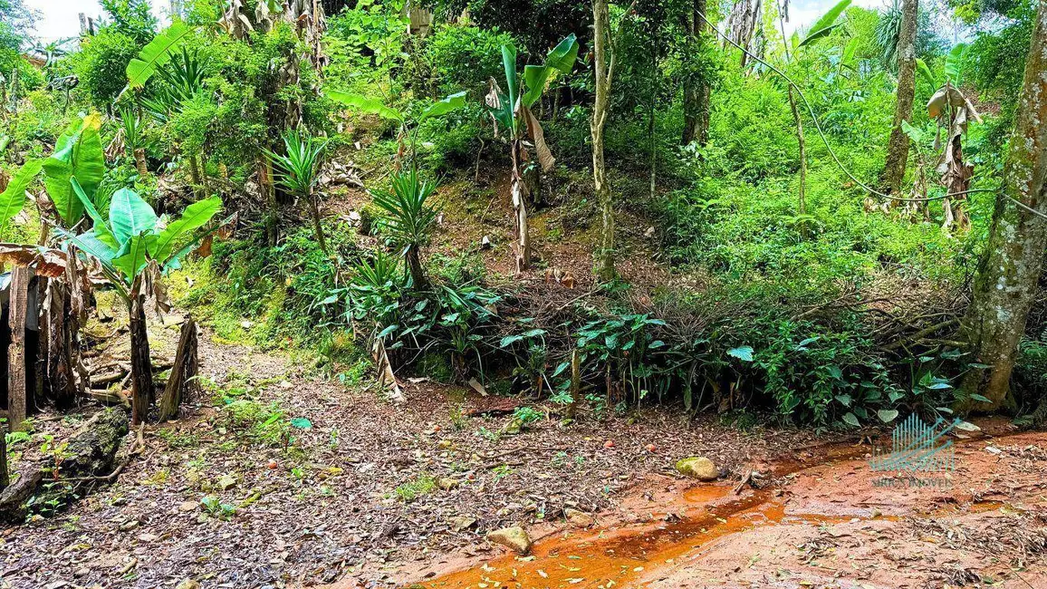 Foto 44 de Chácara à venda, 1849m2 em Quitandinha - PR