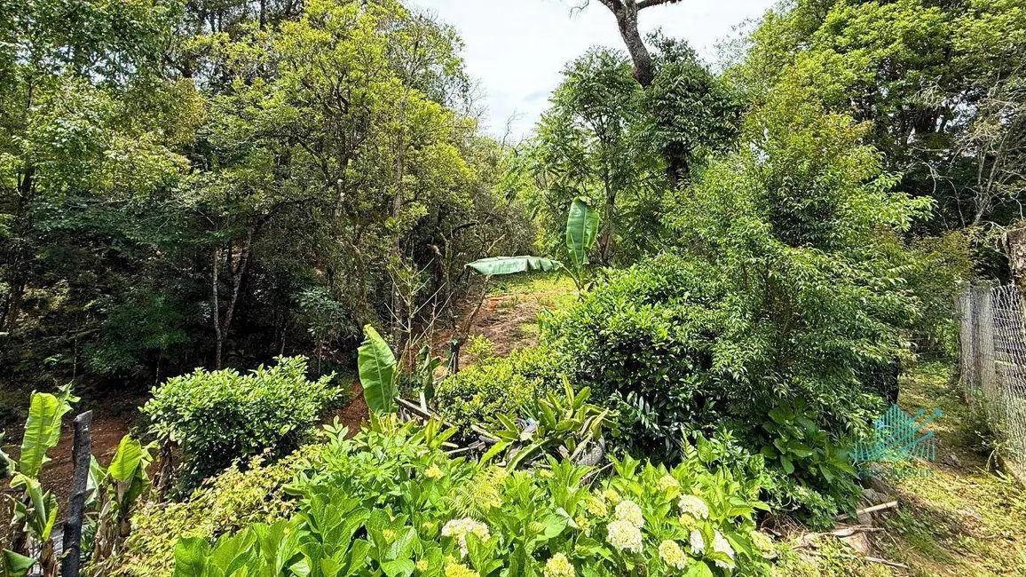 Foto 37 de Chácara à venda, 1849m2 em Quitandinha - PR