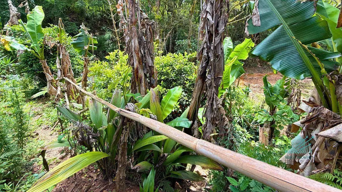 Foto 38 de Chácara à venda, 1849m2 em Quitandinha - PR