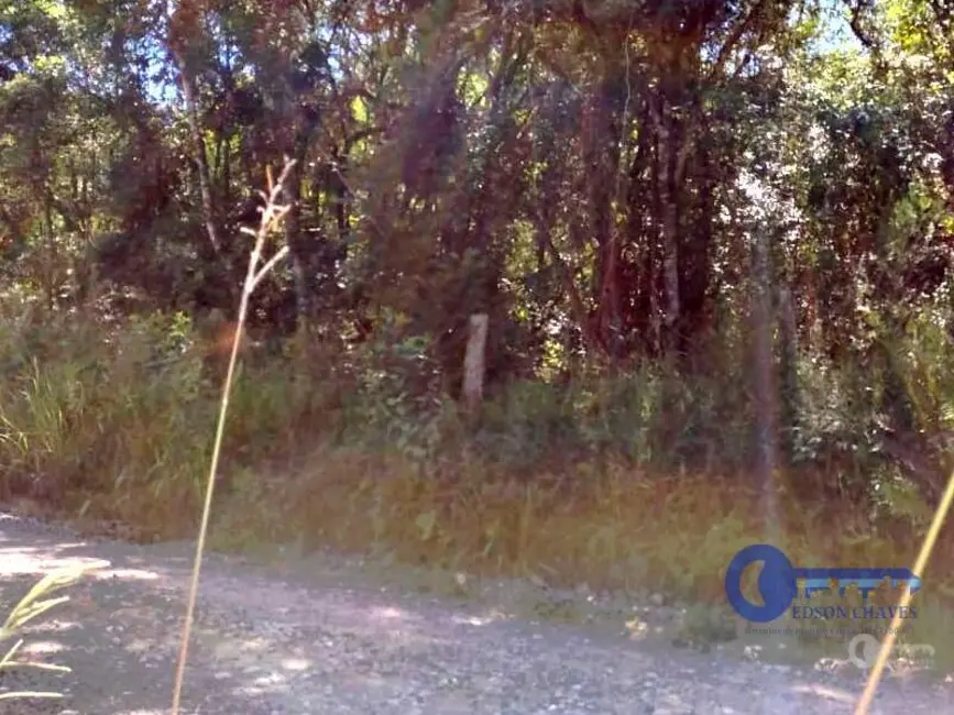 Foto 4 de Terreno / Lote à venda, 47206m2 em Cruzeiro, Sao Bento Do Sul - SC