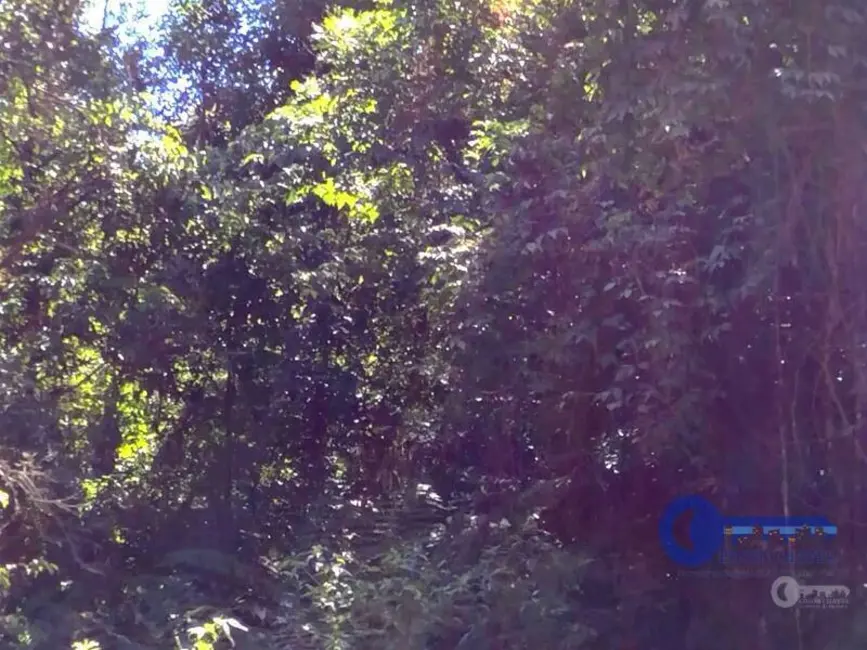 Foto 5 de Terreno / Lote à venda, 47206m2 em Cruzeiro, Sao Bento Do Sul - SC