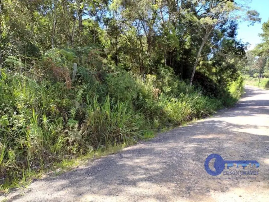 Foto 3 de Terreno / Lote à venda, 47206m2 em Cruzeiro, Sao Bento Do Sul - SC