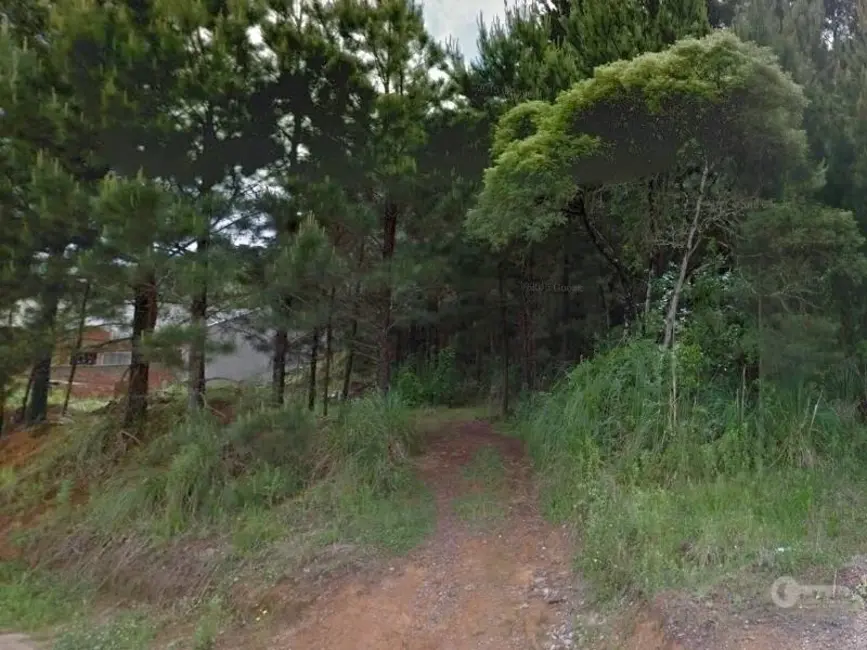 Foto 6 de Terreno / Lote à venda, 960m2 em Schramm, Sao Bento Do Sul - SC