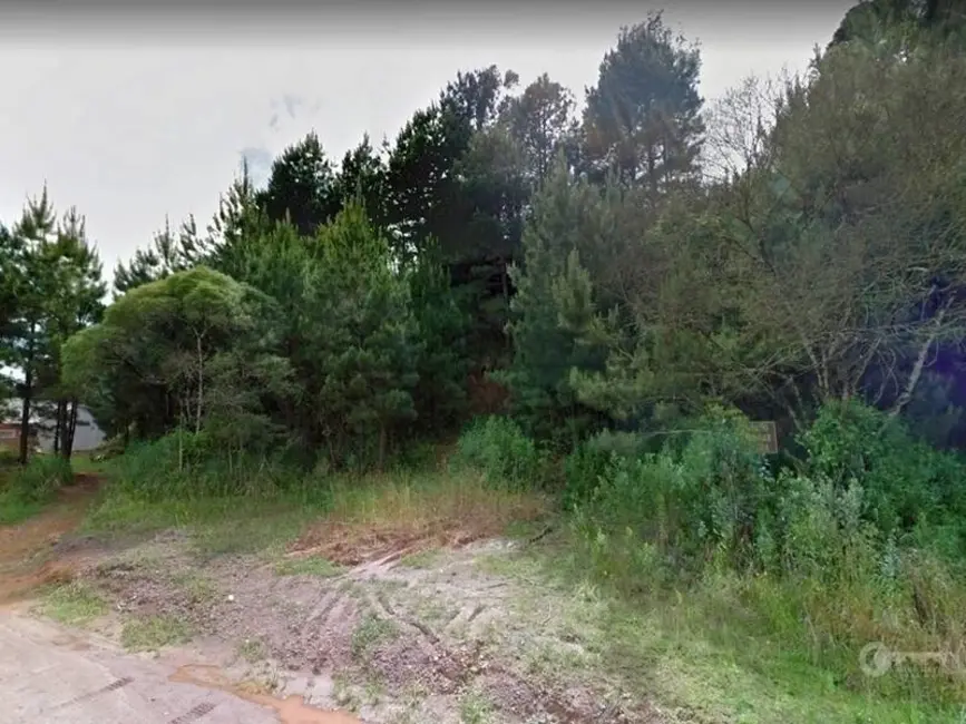 Foto 5 de Terreno / Lote à venda, 960m2 em Schramm, Sao Bento Do Sul - SC