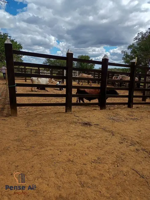 Foto 5 de Fazenda / Haras à venda, 4400000m2 em Nova Itarana - BA