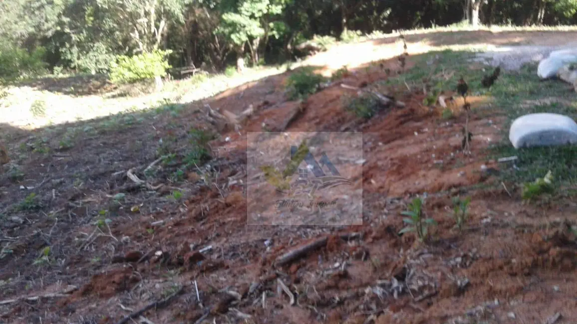 Foto 2 de Terreno / Lote à venda, 7200m2 em Mandirituba - PR