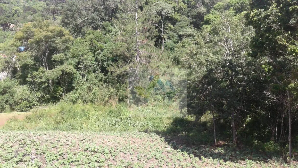 Terreno / Lote à venda, 7200m2 em Mandirituba - PR - imagem 5 Foto 5 de Terreno / Lote à venda, 7200m2 em Mandirituba - PR