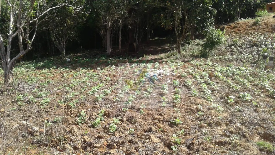 Foto 1 de Terreno / Lote à venda, 7200m2 em Mandirituba - PR