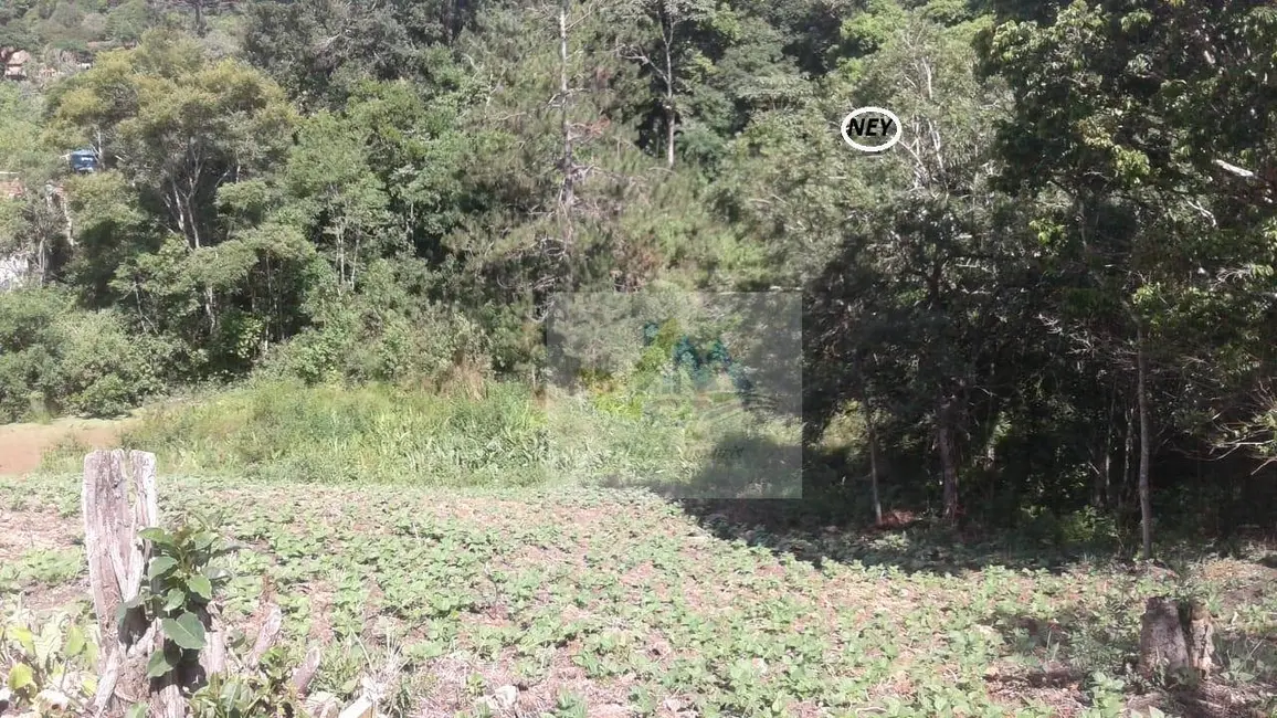 Terreno / Lote à venda, 7200m2 em Mandirituba - PR - imagem 9 Foto 9 de Terreno / Lote à venda, 7200m2 em Mandirituba - PR