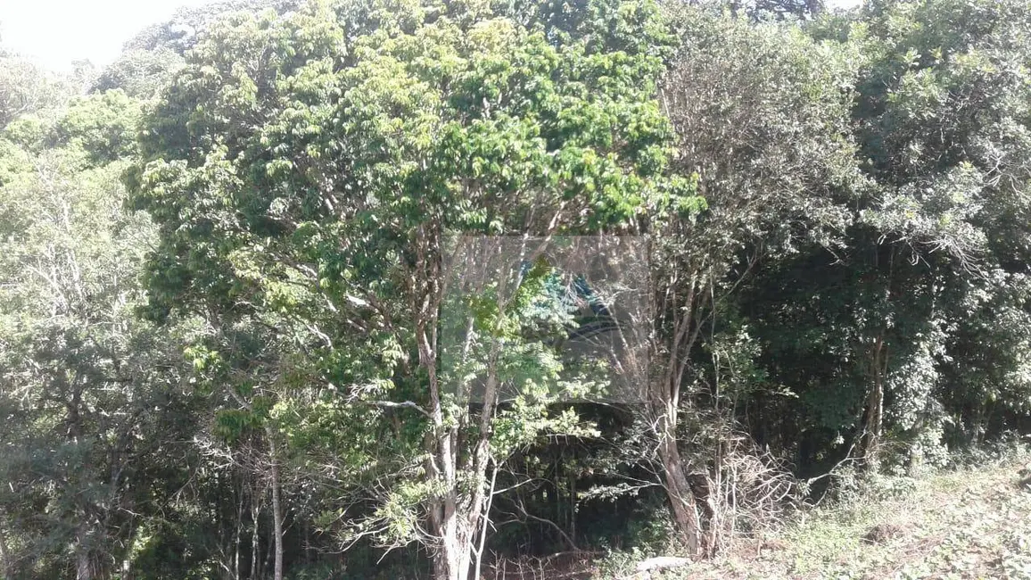 Terreno / Lote à venda, 7200m2 em Mandirituba - PR - imagem 4 Foto 4 de Terreno / Lote à venda, 7200m2 em Mandirituba - PR