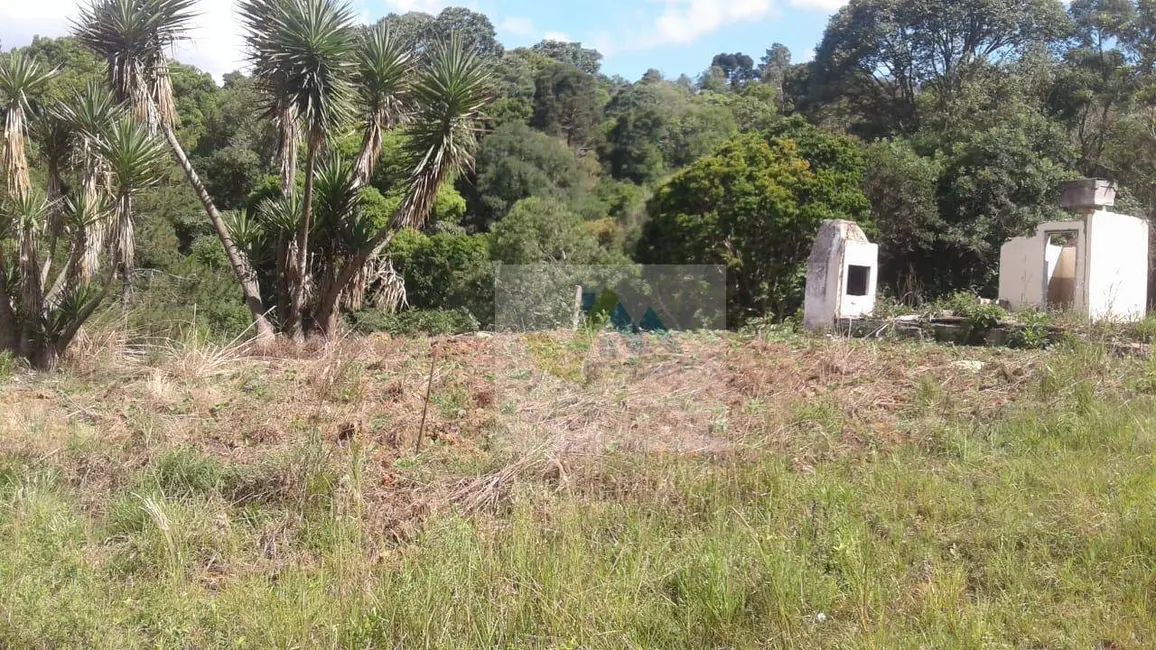 Terreno / Lote à venda, 7200m2 em Mandirituba - PR - imagem 7 Foto 7 de Terreno / Lote à venda, 7200m2 em Mandirituba - PR
