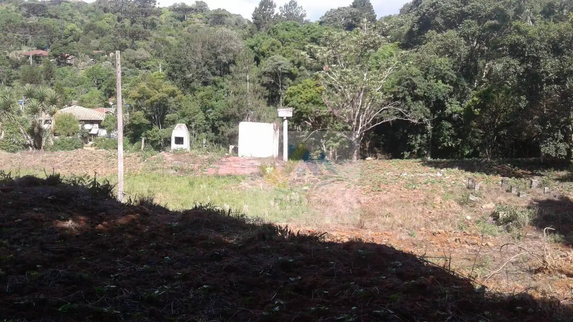 Terreno / Lote à venda, 7200m2 em Mandirituba - PR - imagem 3 Foto 3 de Terreno / Lote à venda, 7200m2 em Mandirituba - PR